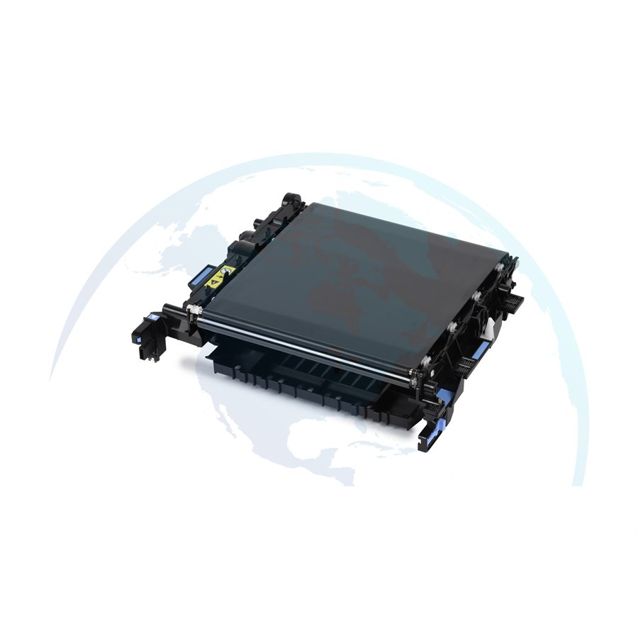 Transfer Belt